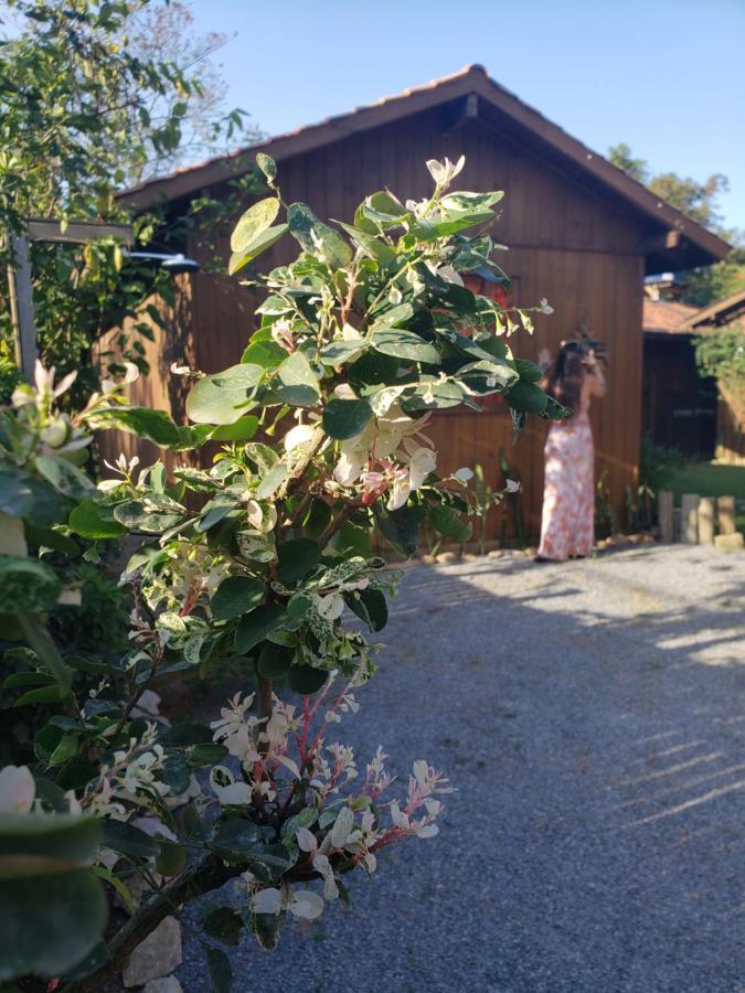 Lodge Rosa *
